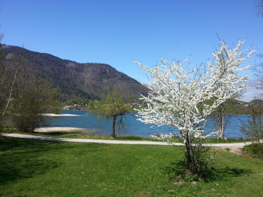 Aparthotel Buchauer-Tirol Thiersee Buitenkant foto